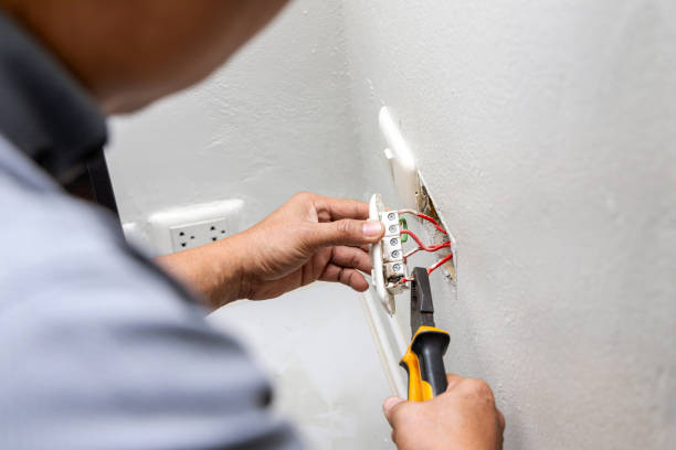 Best Generator Installation Services  in Cadillac, MI
